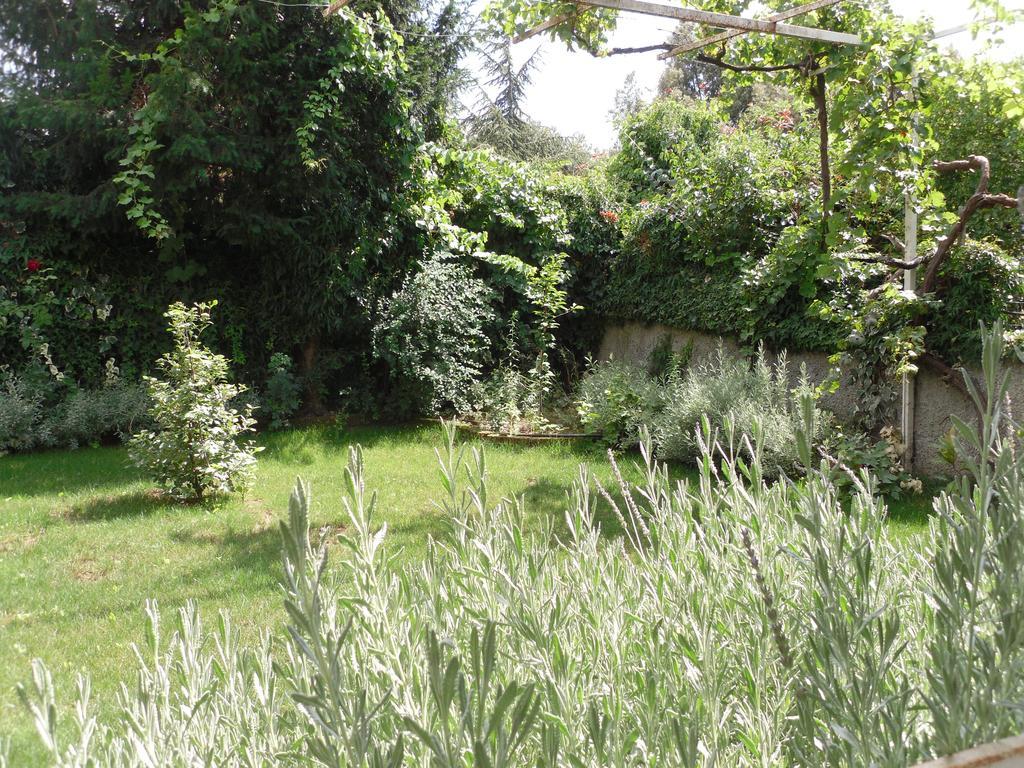 B&B Fragus E Saboris De Sardigna Sadali Dış mekan fotoğraf
